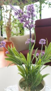 benessere