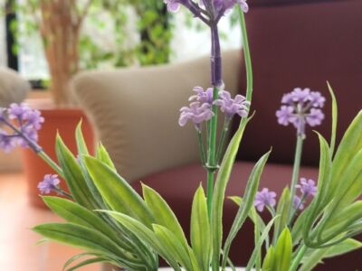 benessere